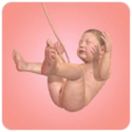 人类进化史中文版