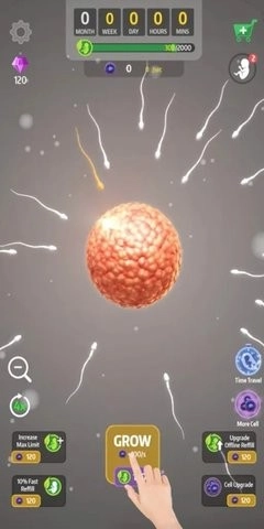 人类进化史无广告版图1