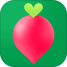 叮咚买菜安装免费版