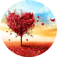 爱枫英语学习最新版