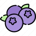 蓝莓音乐最新版 V2.0