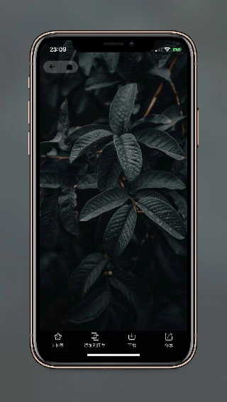 纸塘壁纸无限制