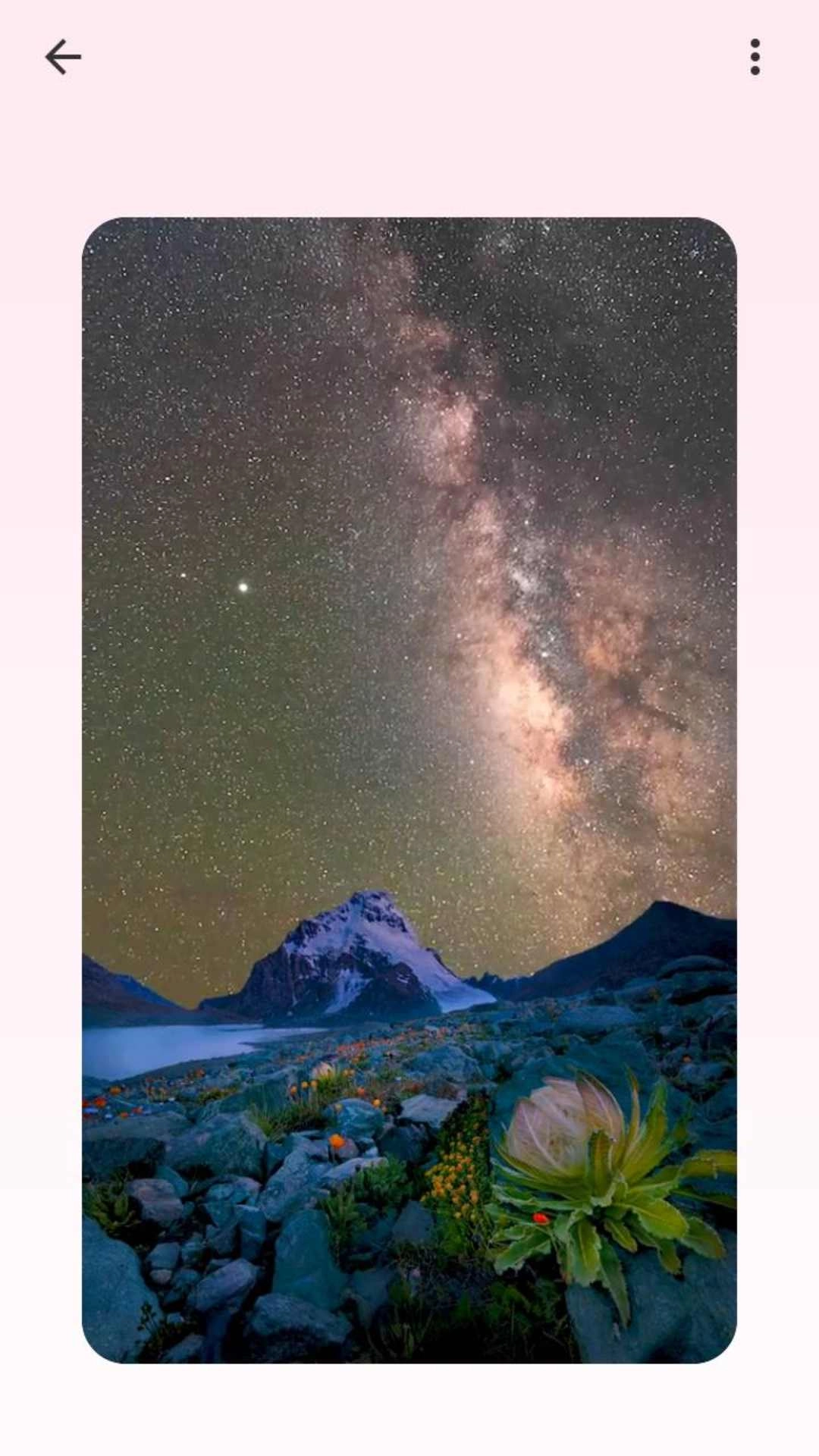 吐司壁纸免费版(2)