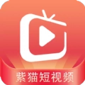 紫猫短视频