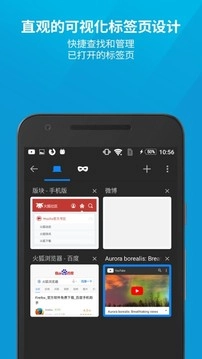 Firefox火狐浏览器正版(1)