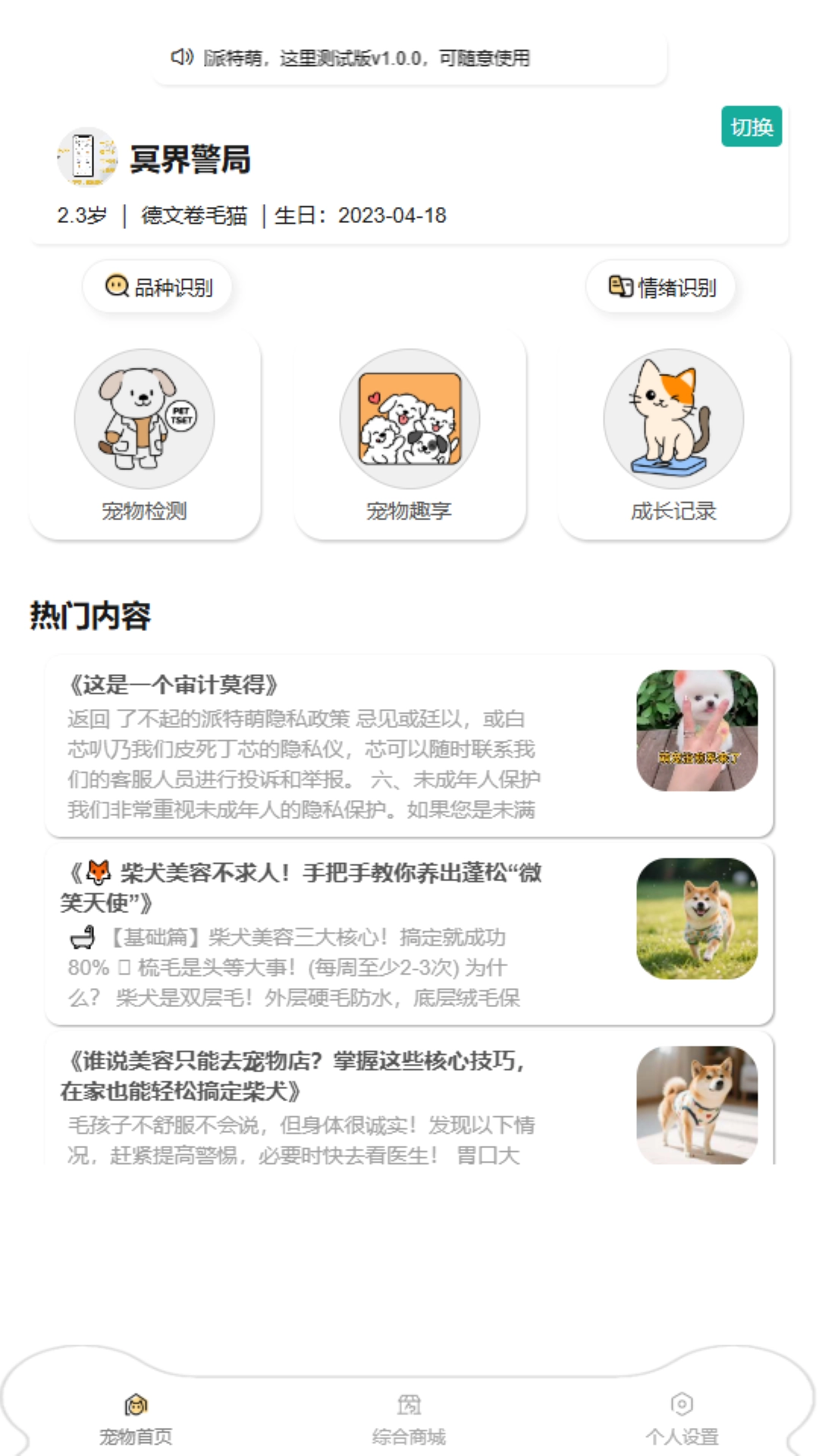 了不起的派特萌(2)