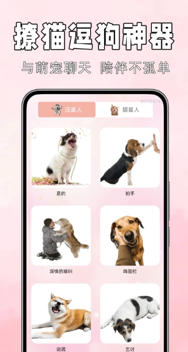 狗猫语翻译器图2