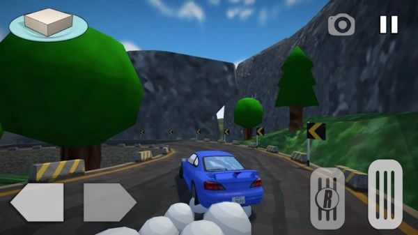 汽车漂移单机版(3)