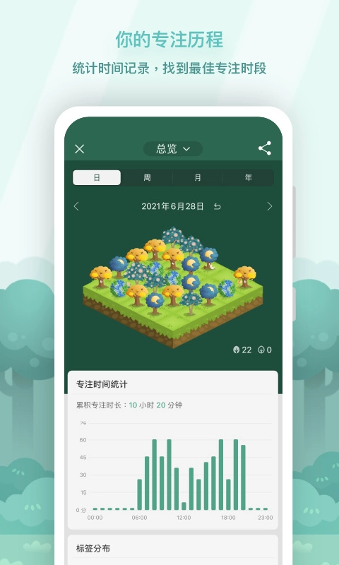 forest专注森林图3