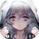 灵魂潮汐最新版