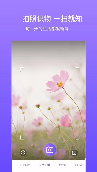 拍拍识图红包版