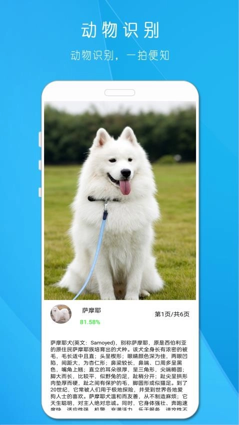 拍照识万物手机版图4