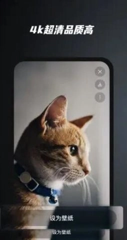 余香壁纸2025-图1