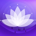 冥想答案之书2025