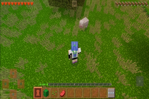 生存战争2野人岛中文正版-图3