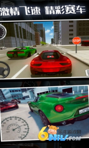 疯狂赛车手正版(3)