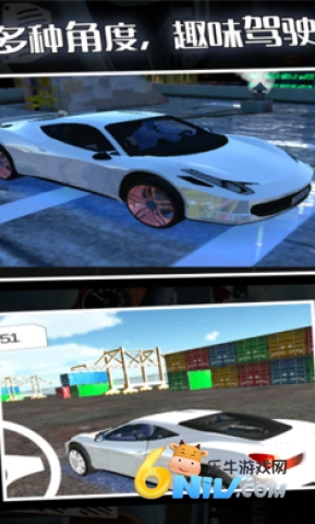 疯狂赛车手正版(1)