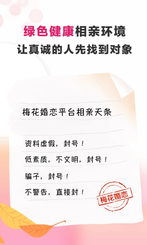 梅花再婚相亲图4