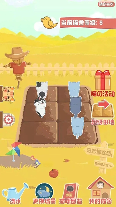 奇妙猫之家正版(4)