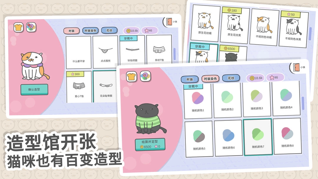 主播和猫的故事正版