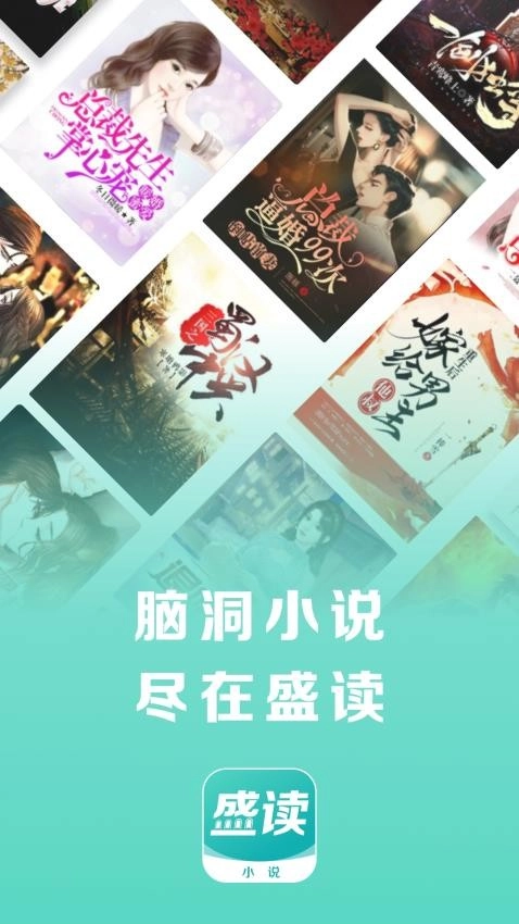 盛读小说手机版图4