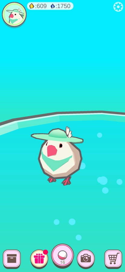 文鸟芭菲宠物游戏图1