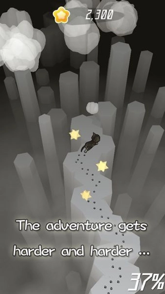 小猫咪回家记-图3