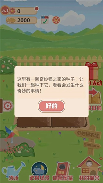 奇妙猫之家正版(2)