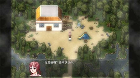 残世界的鸢尾花图3