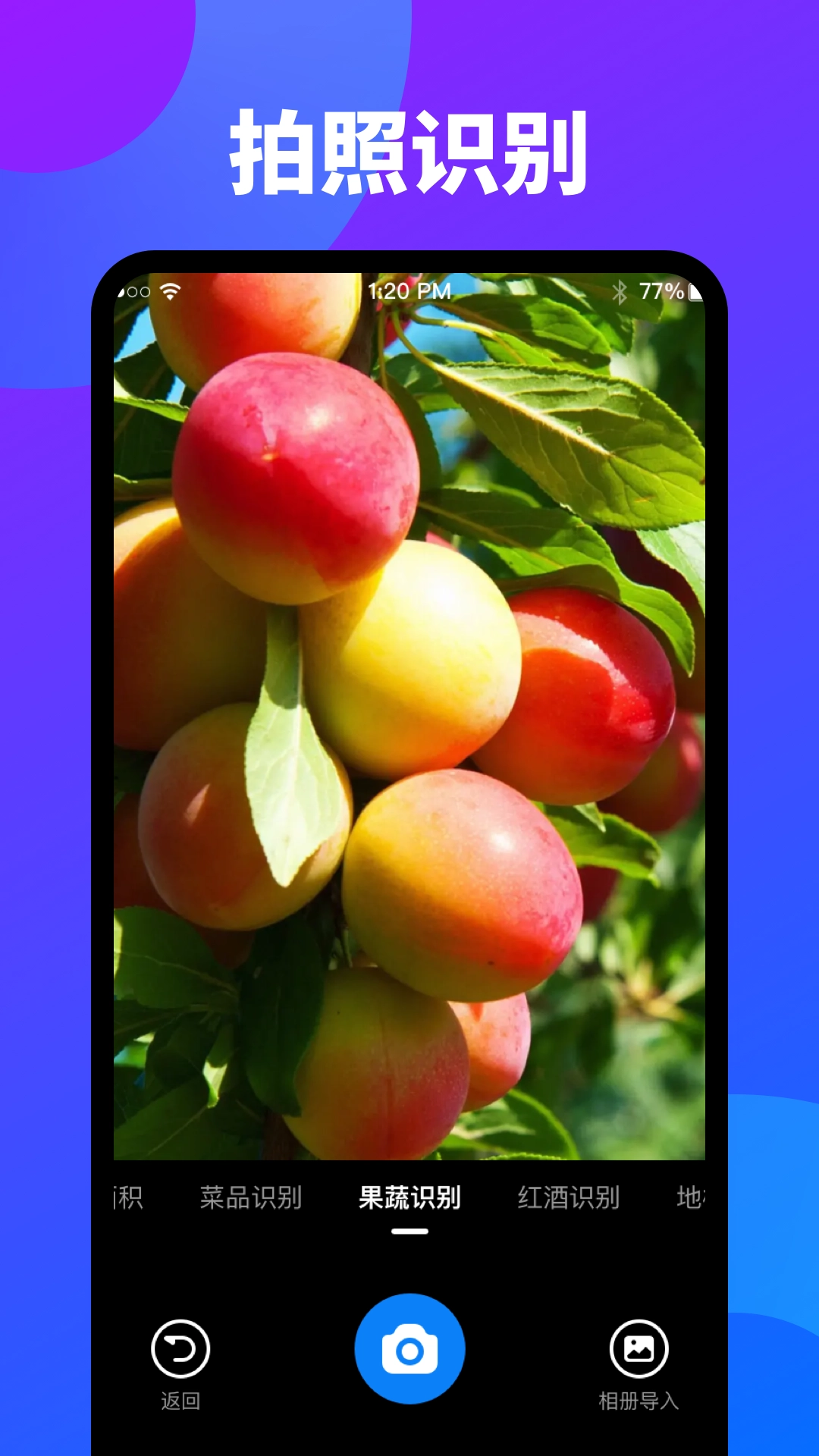 万能扫描识图图2