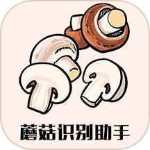 蘑菇识别助手