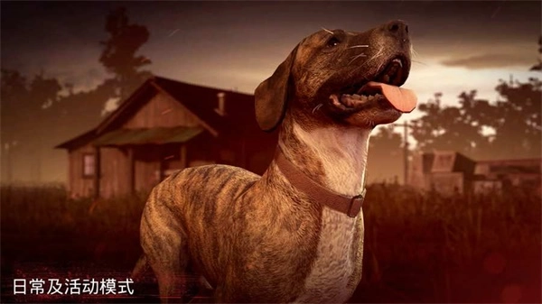 勇闯死人谷2游戏1