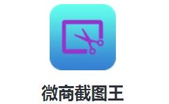 微商截圖王正版 1