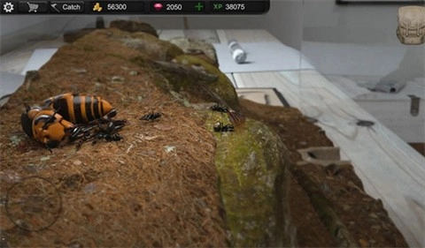 蚂蚁模拟大亨最新版(2)