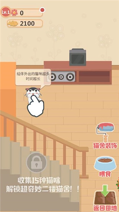 奇妙猫之家正版(1)