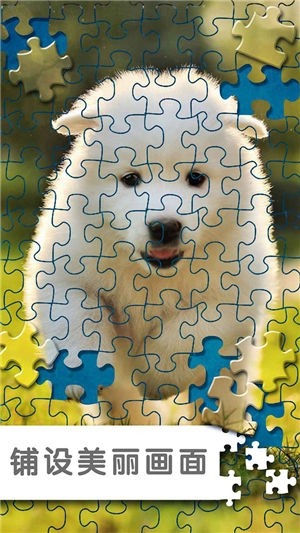 拼图游戏挑战(4)