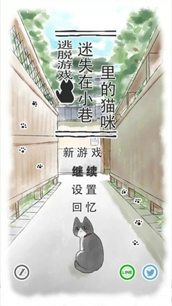迷途猫(1)