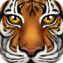 森林动物模拟器  