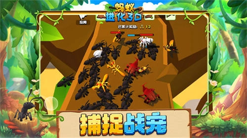 蚂蚁进化3D最新版图3