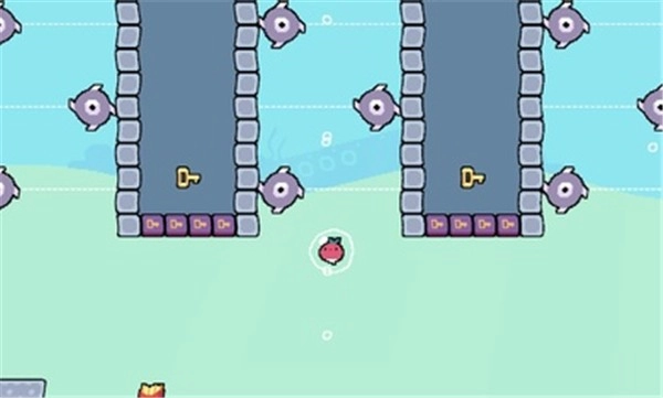 每日萝卜爸爸图2