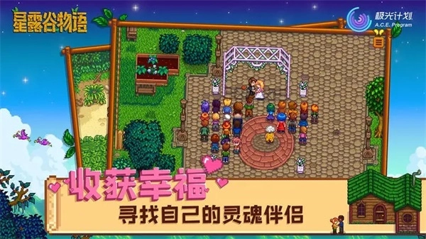 stardewvalley星露谷物语图3