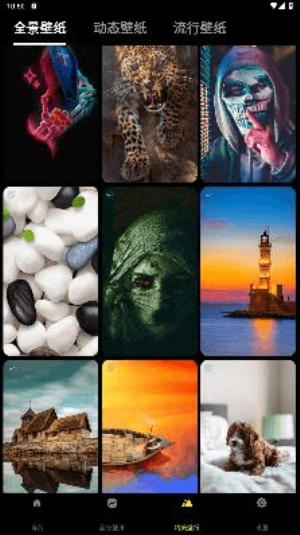 皮卡超级壁纸(5)