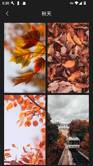 口袋免费壁纸图3