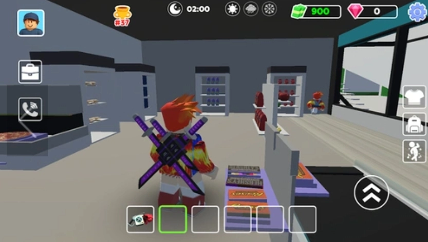 布鲁克托皮亚城(2)