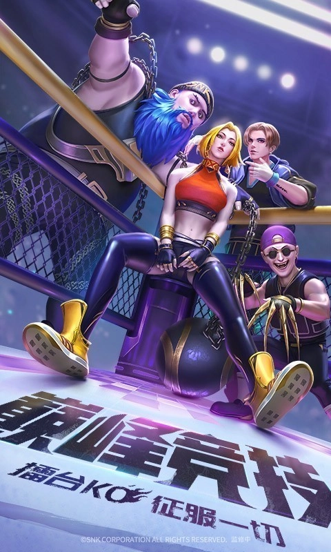 拳魂觉醒变态版(3)