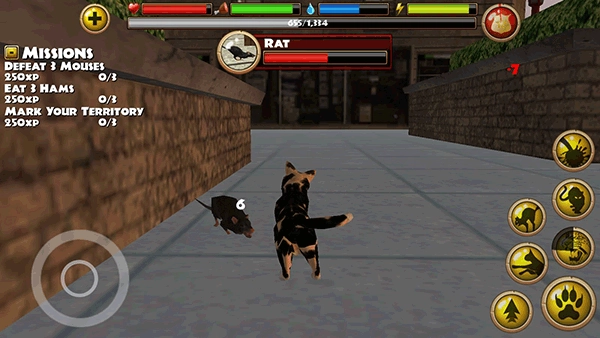 流浪猫模拟器(StrayCatSim)(4)