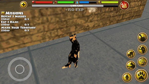 流浪猫模拟器(StrayCatSim)(6)