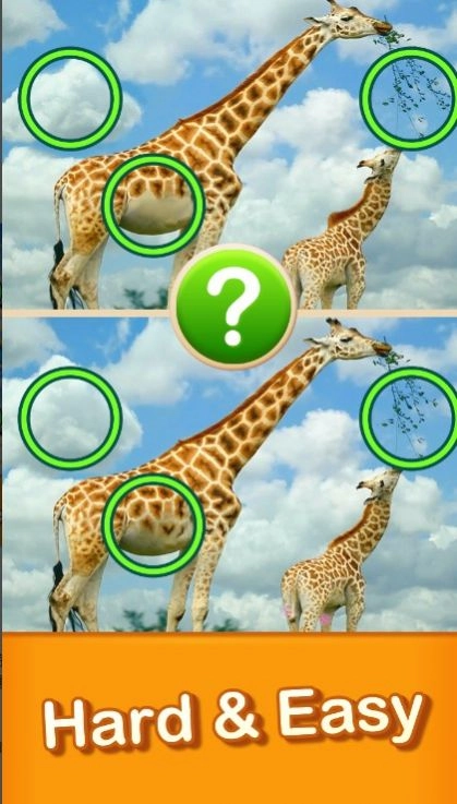 找不同(Find Difference)