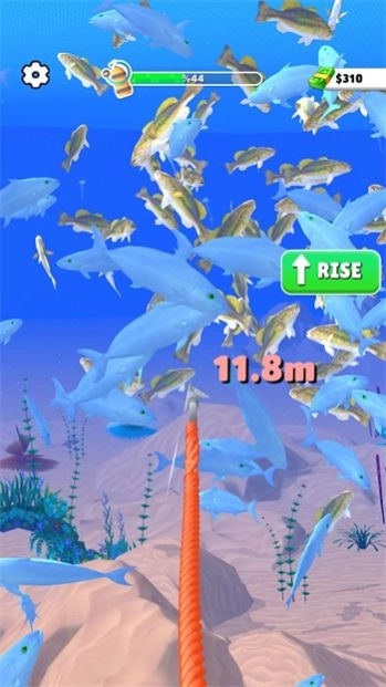 水底狩猎大作战(Underwater Hunting)