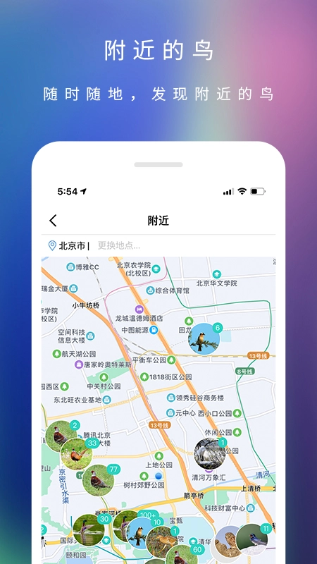 爱鸟图5